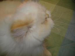 2009-01-09 15:43:45