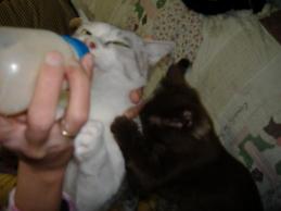 2009-01-10 10:07:21