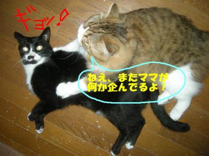 2010-05-28 09:33:58