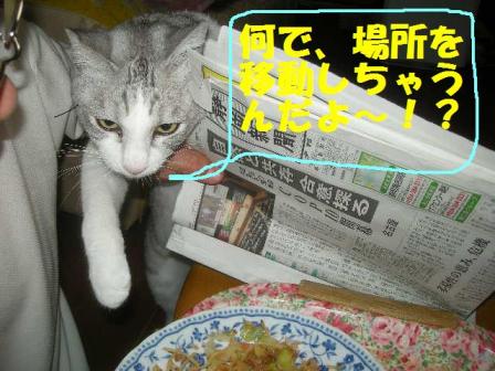 2010-10-20 10:28:38