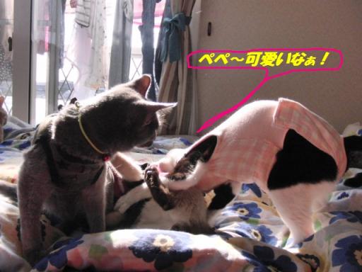 2012-01-28 12:00:20