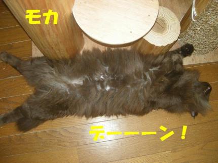 2010-07-05 20:37:41