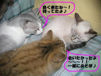 2010-06-27 10:11:34