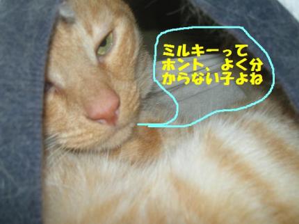 2010-08-24 09:48:56