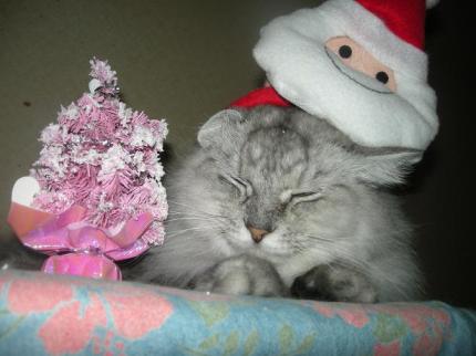 2009-12-24 09:59:47