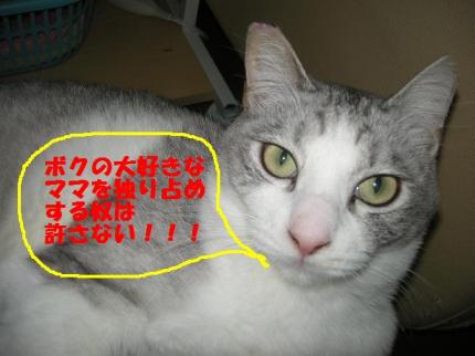 2010-06-14 09:19:23