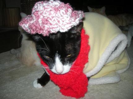 2010-02-17 10:16:31