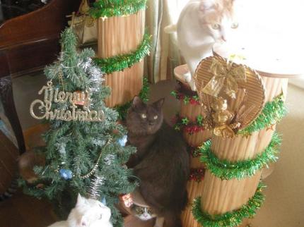 2009-12-24 10:01:03