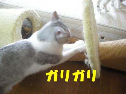 2010-05-20 09:44:52