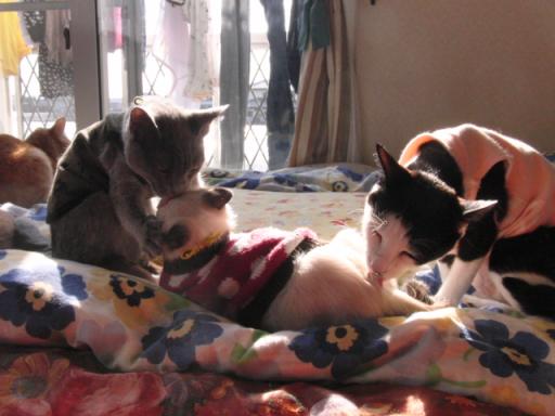 2012-01-28 12:00:49