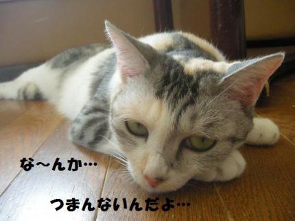 2010-07-09 10:09:34