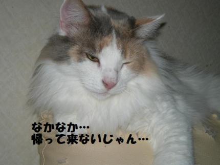 2010-07-09 10:10:02