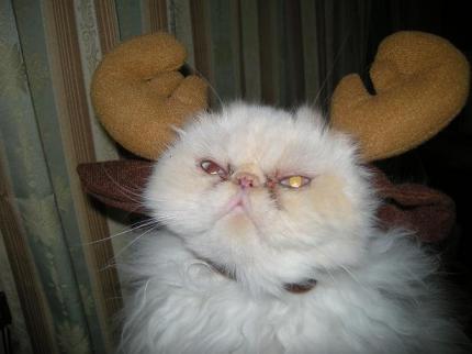 2009-12-24 10:01:33
