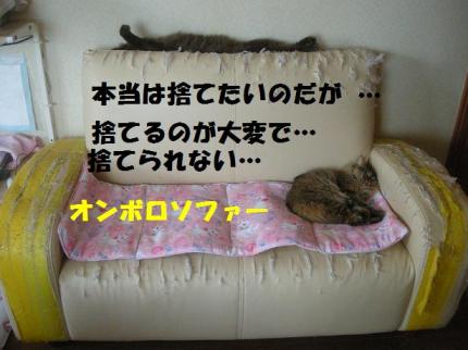 2010-05-25 09:25:37