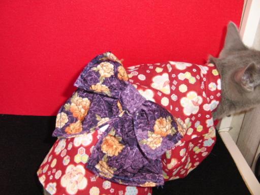2012-01-09 08:09:32