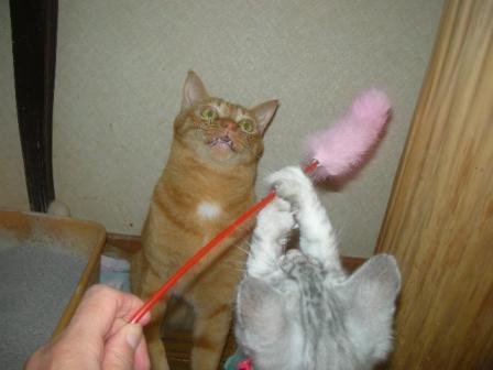2010-10-28 09:16:38
