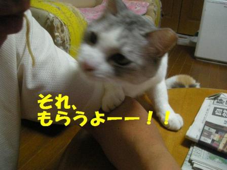 2010-10-20 10:29:10