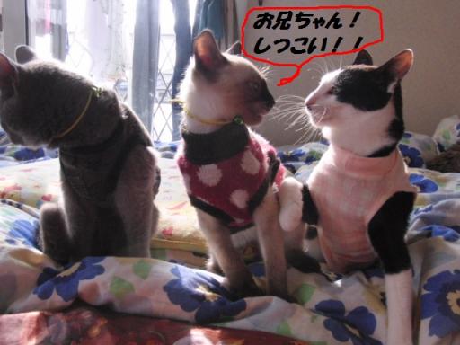 2012-01-28 12:01:14