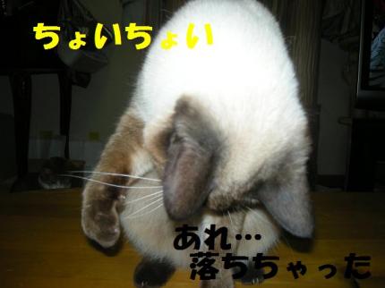 2010-03-07 11:11:54