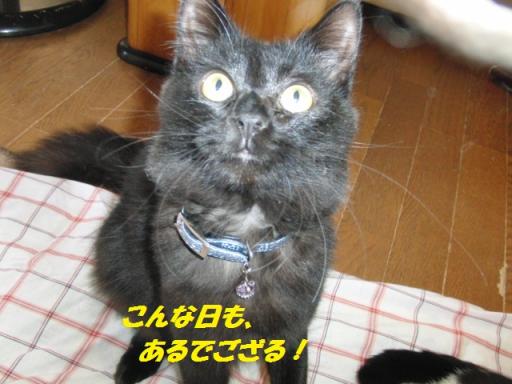 2012-01-25 10:36:24