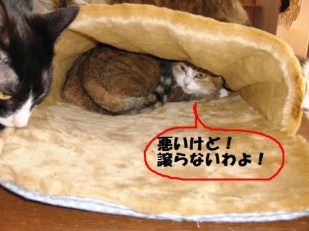 2010-12-19 11:12:42