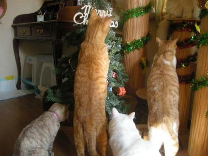 2009-12-24 10:02:06