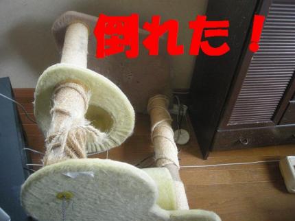 2010-05-20 09:46:35