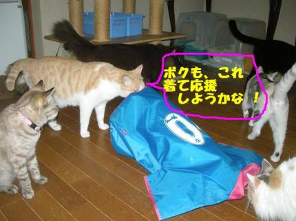 2010-06-30 09:59:00