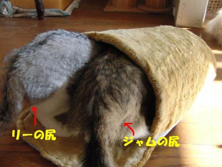 2010-12-19 11:13:40