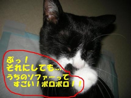 2010-05-25 09:26:46