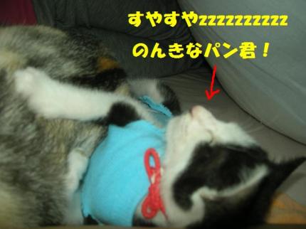 2010-10-06 10:08:14