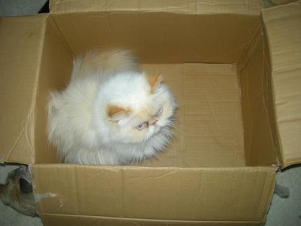 2010-03-20 09:17:33