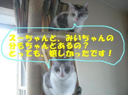 2010-03-20 09:17:52