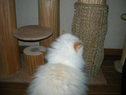 2010-01-09 10:22:23