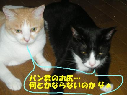 2010-10-06 10:08:44