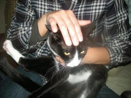2010-02-08 10:08:34