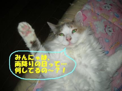 2010-05-25 09:28:00