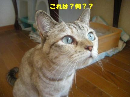 2010-07-21 09:13:31