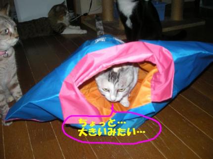 2010-06-30 10:00:17