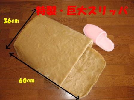 2010-12-19 11:16:02