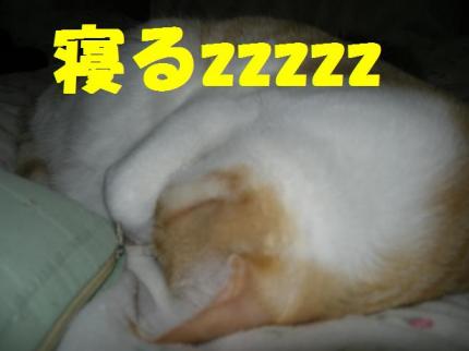 2010-05-25 09:28:51