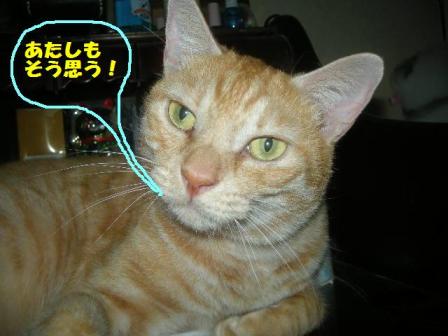 2010-10-20 10:33:48