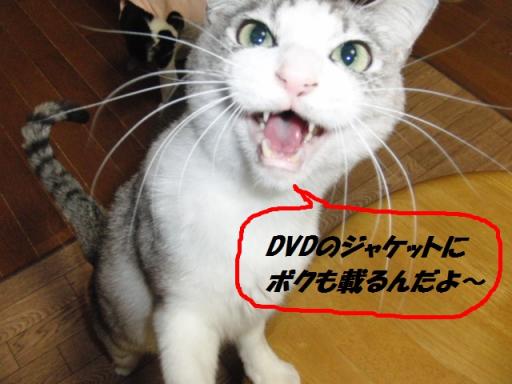 2012-01-20 09:53:22