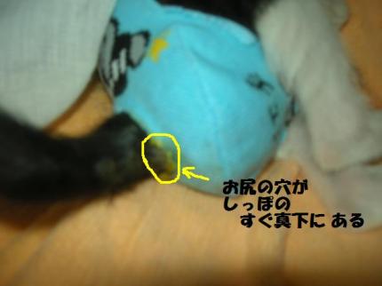2010-10-06 10:10:46