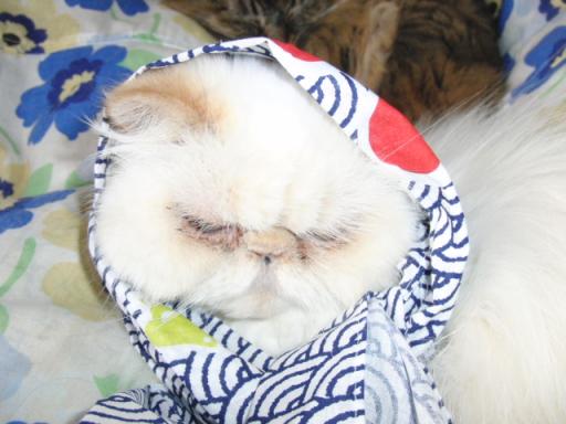 2012-01-19 09:31:41