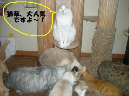 2010-03-20 09:19:55