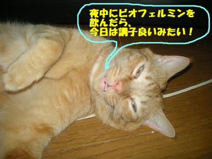 2010-10-06 10:12:00