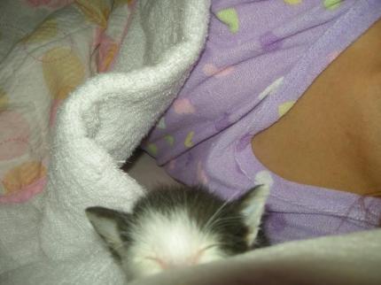 2010-08-30 10:59:11