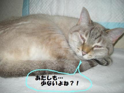 2010-10-20 10:34:21