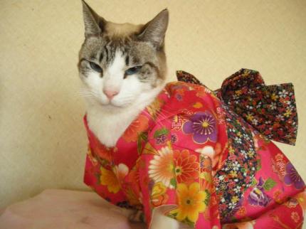 2010-01-05 08:56:53